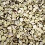 Almendra Fileteada con cutícula