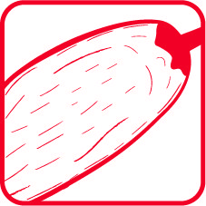 Chiles y Frutos Secos